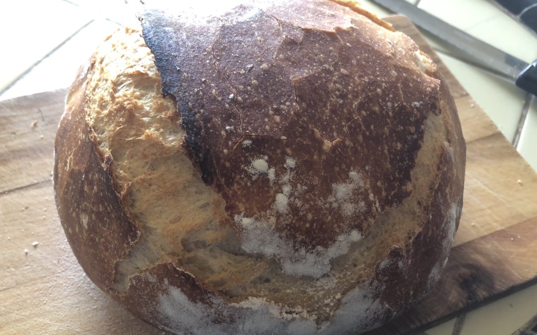 Episode 4: Groceries, Baking and Yeast, Oh My!
