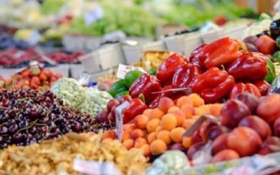Episode 3: Food for the People, By the People