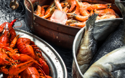 Episode 38: Fish and BBQ
