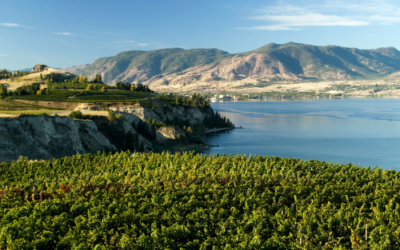 Episode 101: Foxtrot Vineyards & Wayward Distillery