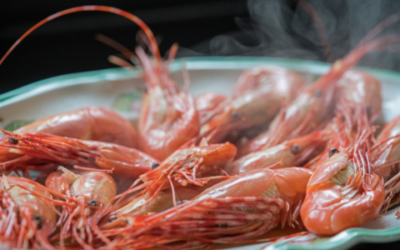 Episode 141: BC Seafood Festival