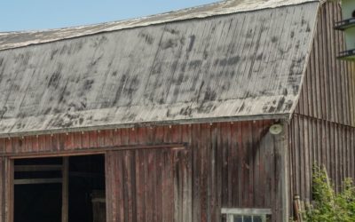 Episode 114: Lee Murphy of Vista D’Oro Farms & Winery
