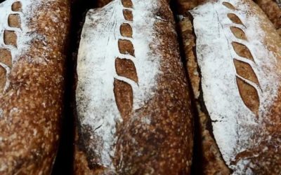 Episode 138: Tall Shadow Bakery